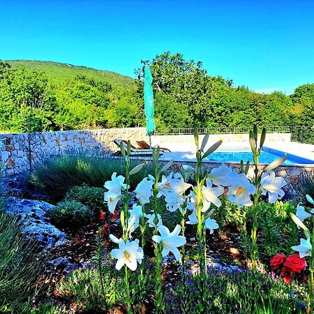 Relaxing Dalmatian House In Village Ljubitovica Екстериор снимка