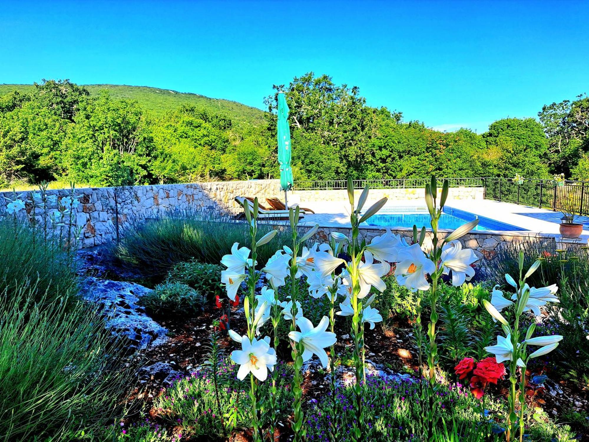 Relaxing Dalmatian House In Village Ljubitovica Екстериор снимка
